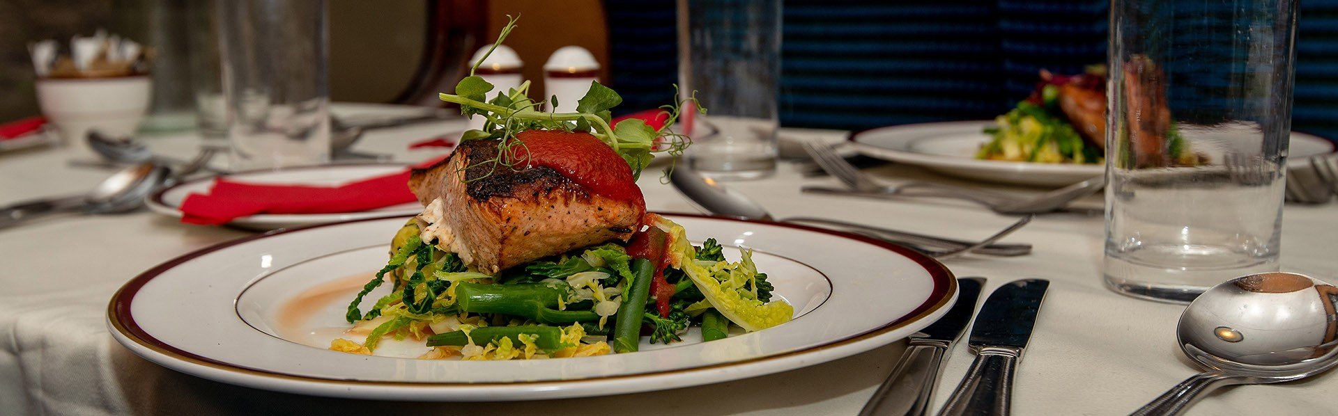 Moorlander Dining Train Salmon