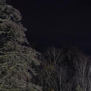 D1994 at the leading the Polar Express TM Train Ride to the North Pole in November 2025