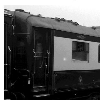 Carina At Clapham.jpg