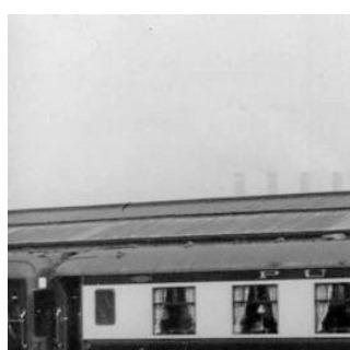 Carina Golden Arrow .jpg