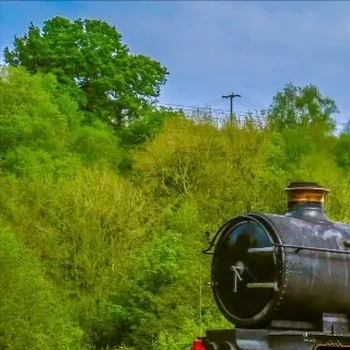 Copyright Duncan Hurst