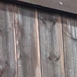 PXL 20220131 171048778smaller.jpg