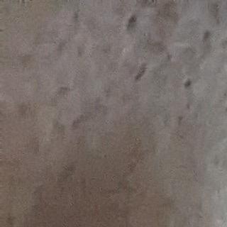 PXL 20220624 170753203correct.jpg