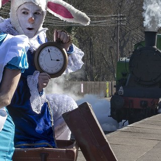 Don't wait around and pre-book your tickets on our website!