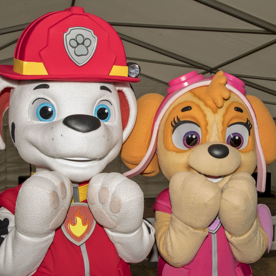 Sac De Sport Paw Patrol Avec Cordon De Serrage – 44x33 Cm, Léger, Imperméable, Pour Fille Multicolore